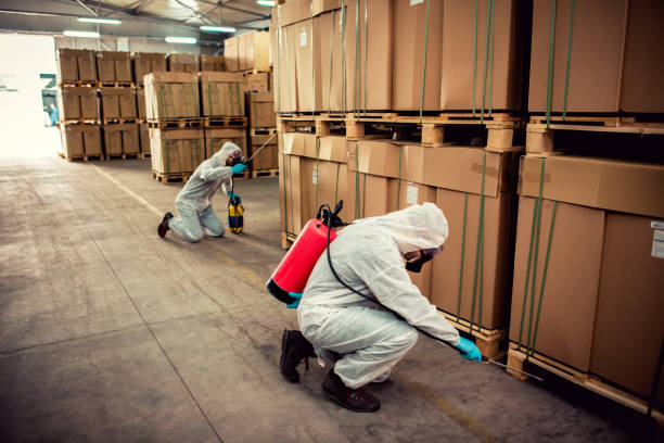 Best Exterminator Services  in Monticello, LA