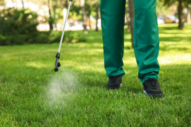 Best Best Pest Control Companies  in Monticello, LA