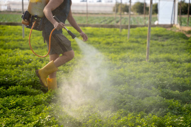 Best Pest Control Near Me  in Monticello, LA