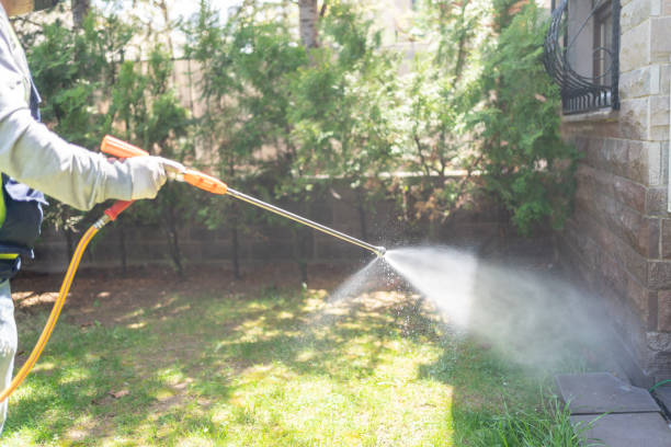 Best Bed Bug Extermination  in Monticello, LA