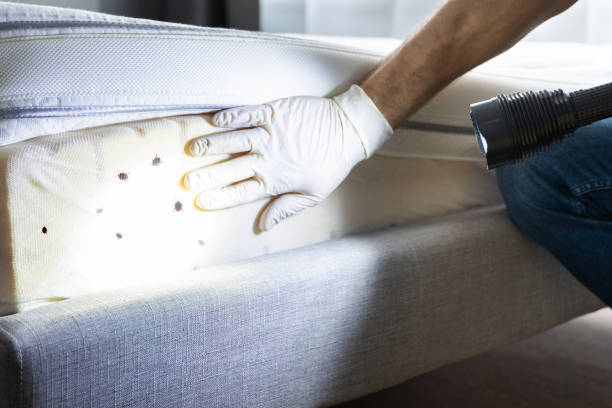  Monticello, LA Pest Control Pros