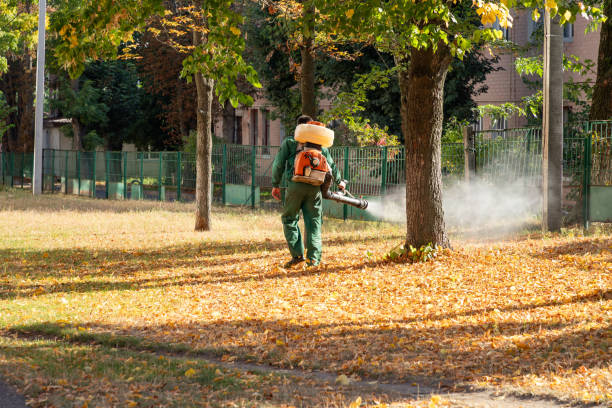 Best Best Pest Control Companies  in Monticello, LA