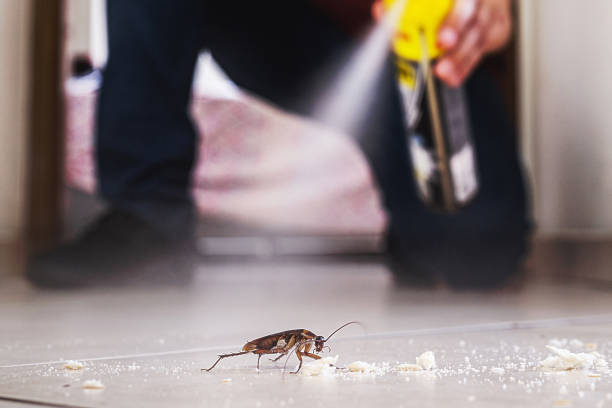 Best Exterminator Services  in Monticello, LA