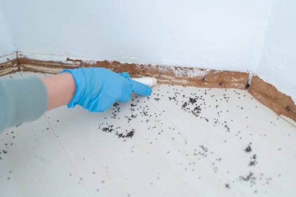 Best Pest Prevention Services  in Monticello, LA