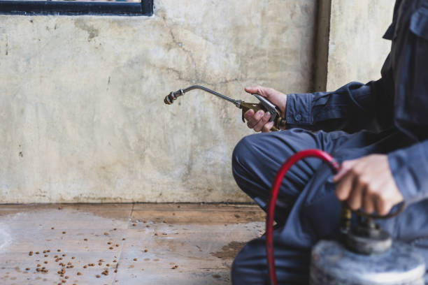 Best Pest Control Treatment  in Monticello, LA